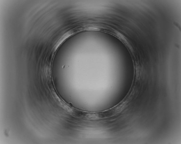 X0000099931194200806061447