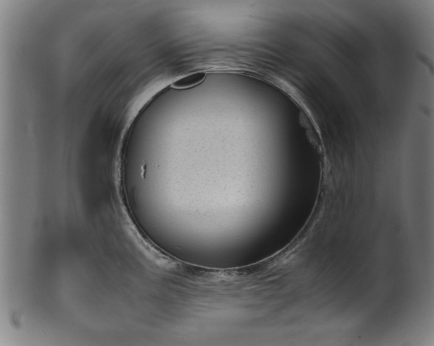 X0000099931195200806061447