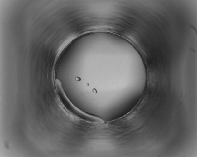 X0000099931196200806061446