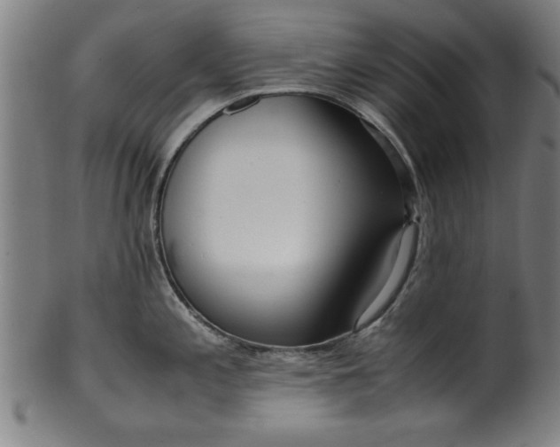 X0000099931197200806061446