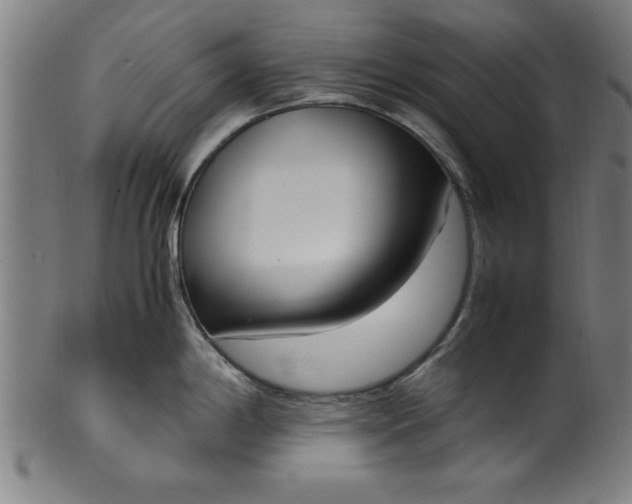 X0000099931198200806061446