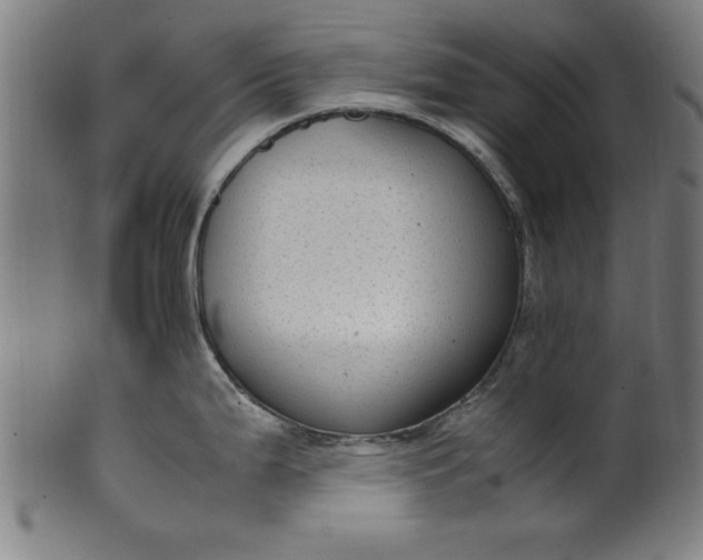 X0000099931199200806061446