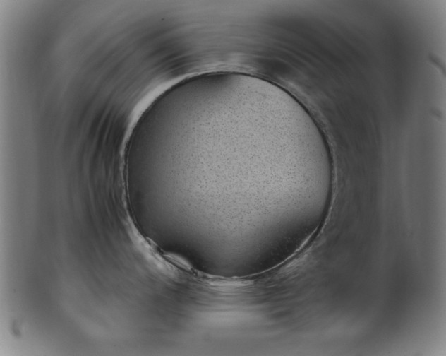 X0000099931200200806061446