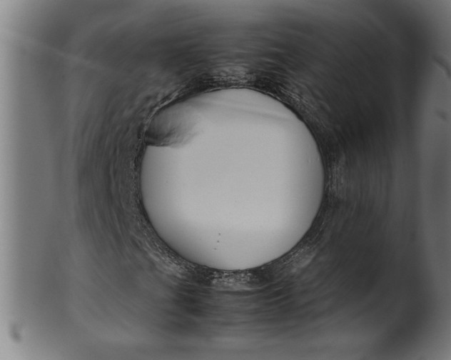 X0000099931201200806061446