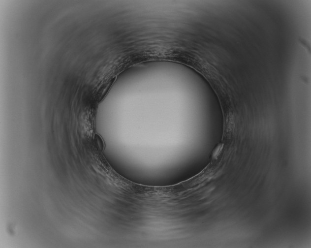 X0000099931202200806061446