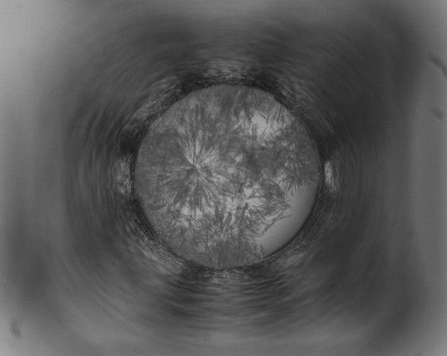 X0000099931203200806061446