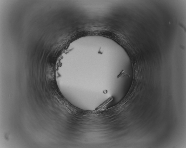 X0000099931204200806061446