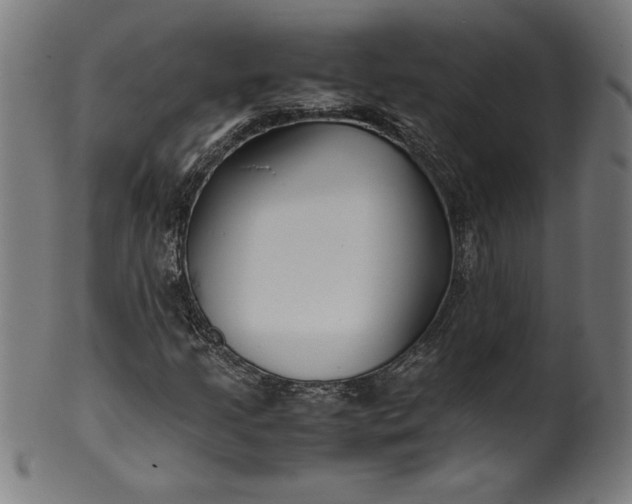 X0000099931205200806061446