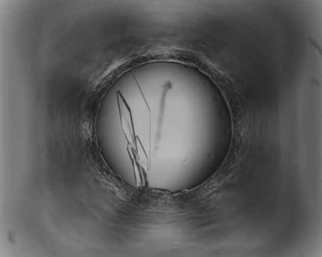 X0000099931206200806061446