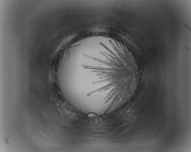 X0000099931207200806061446