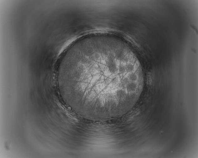 X0000099931208200806061446