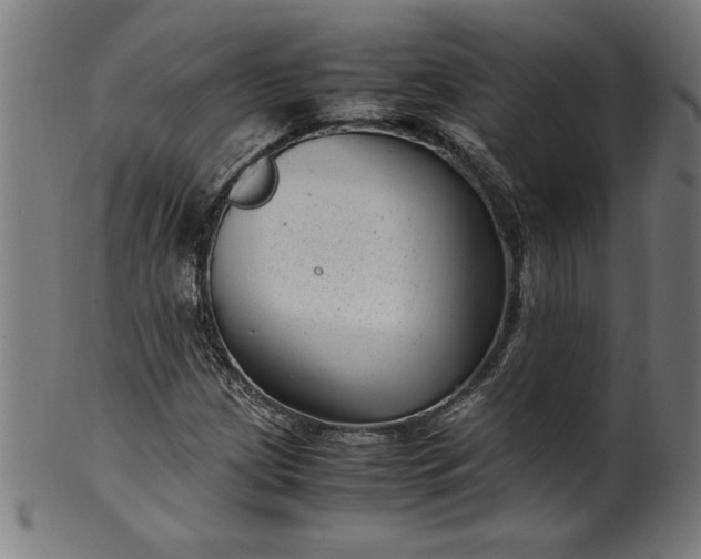 X0000099931209200806061446