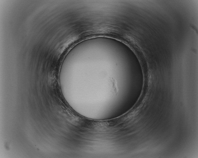 X0000099931210200806061446