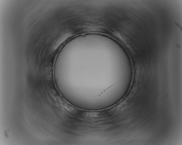 X0000099931211200806061446