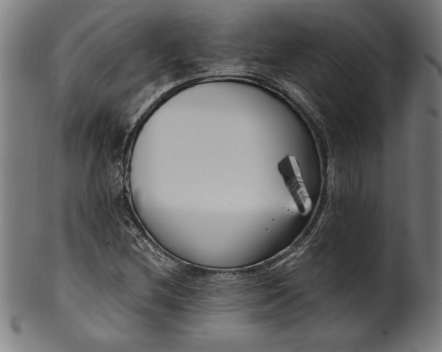 X0000099931212200806061446