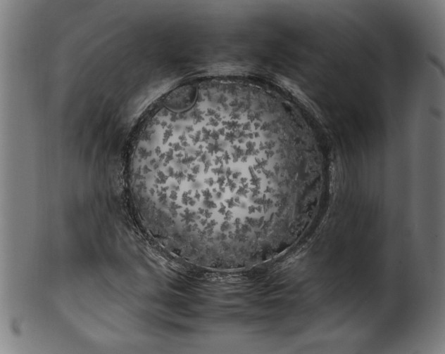 X0000099931213200806061446