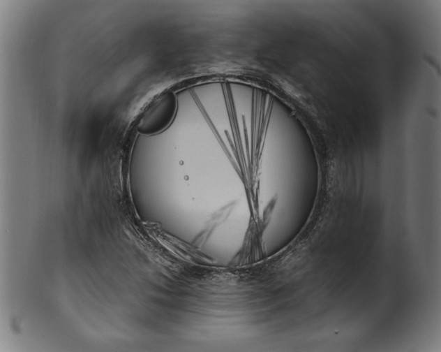 X0000099931214200806061446