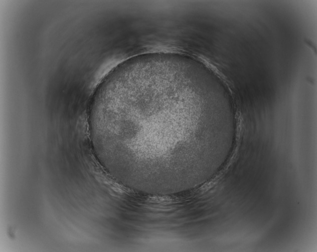 X0000099931215200806061446