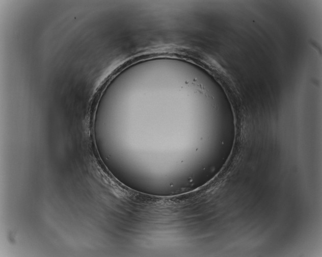 X0000099931216200806061446