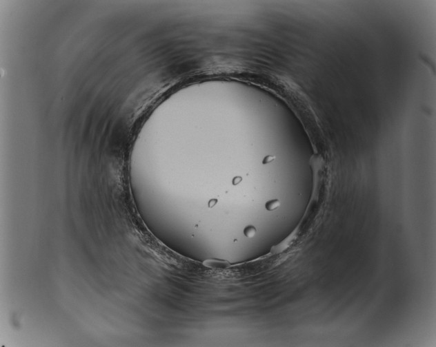 X0000099931217200806061446