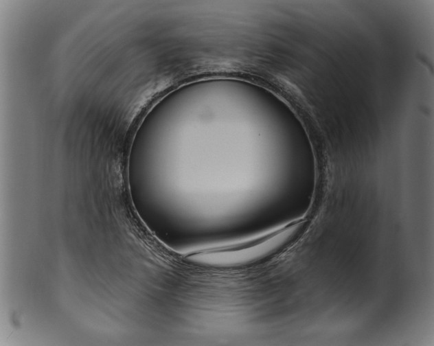 X0000099931218200806061446