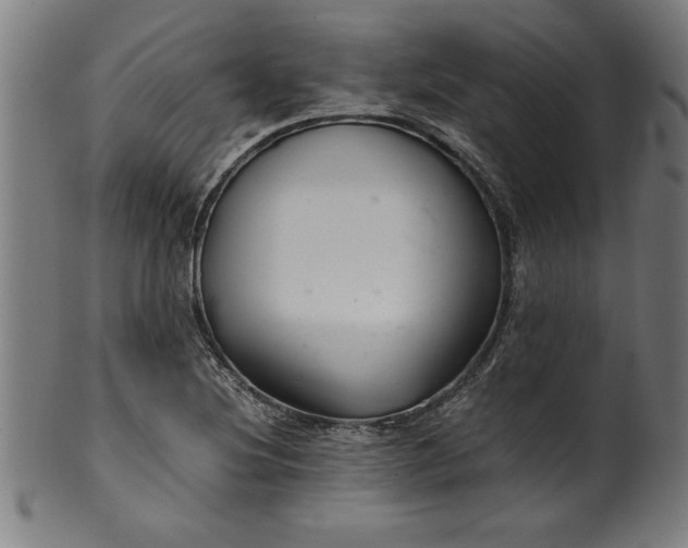 X0000099931220200806061446