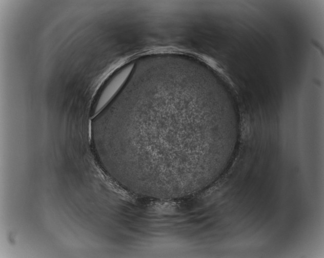 X0000099931221200806061446