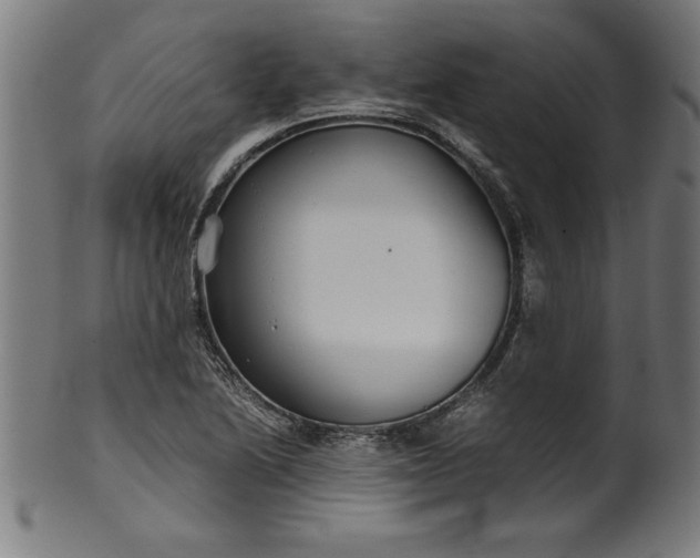 X0000099931222200806061446