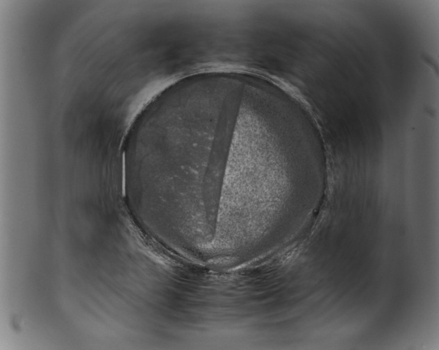 X0000099931223200806061446