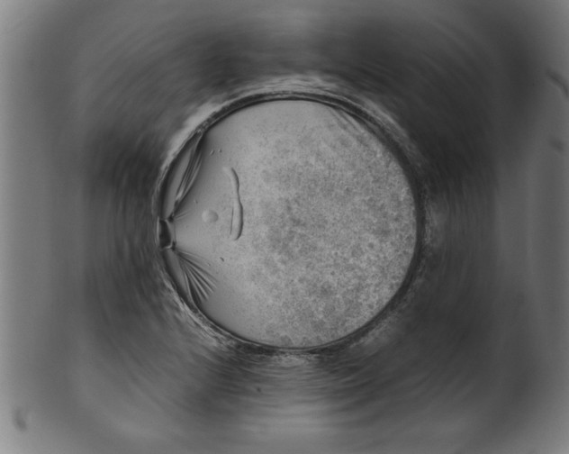 X0000099931224200806061446