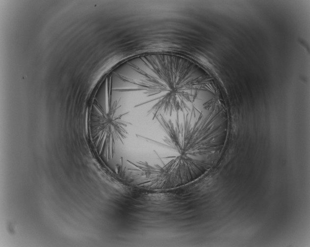 X0000099931227200806061446