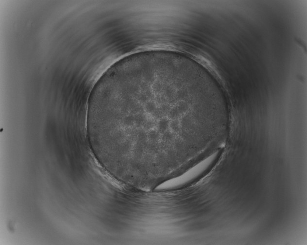 X0000099931228200806061446