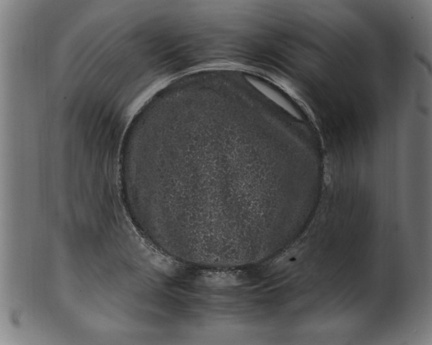 X0000099931229200806061446