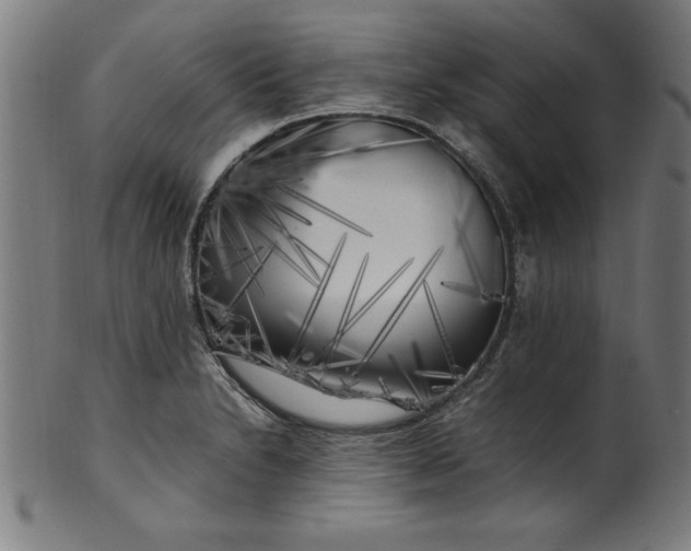 X0000099931230200806061446