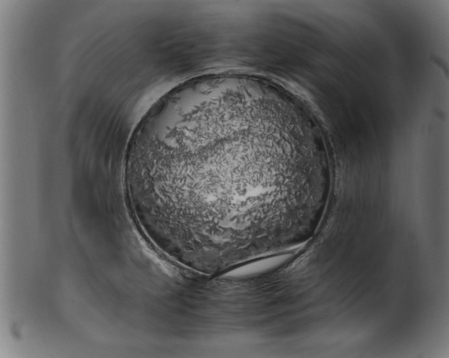 X0000099931231200806061446