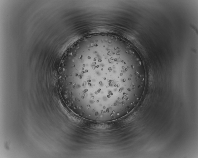 X0000099931233200806061446