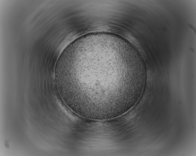 X0000099931234200806061446