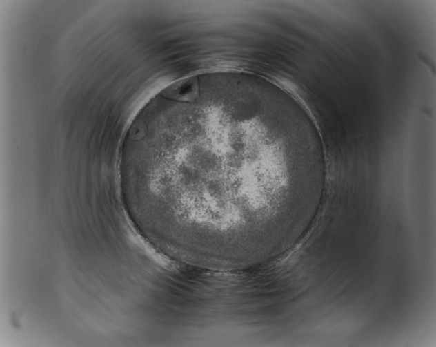 X0000099931235200806061446