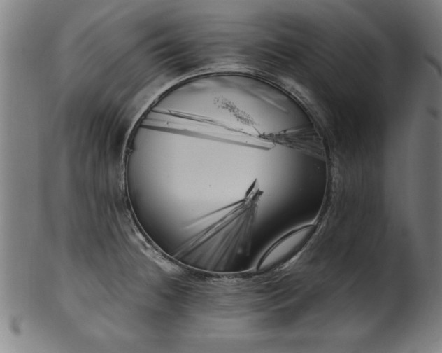 X0000099931236200806061446