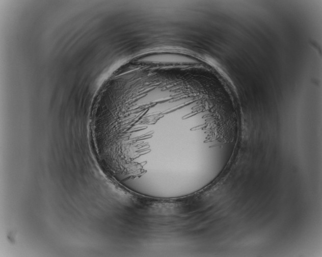 X0000099931237200806061446