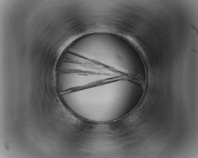 X0000099931238200806061446