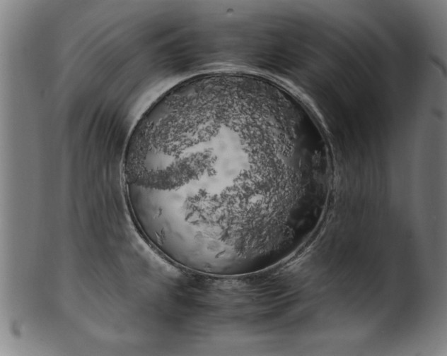 X0000099931239200806061446