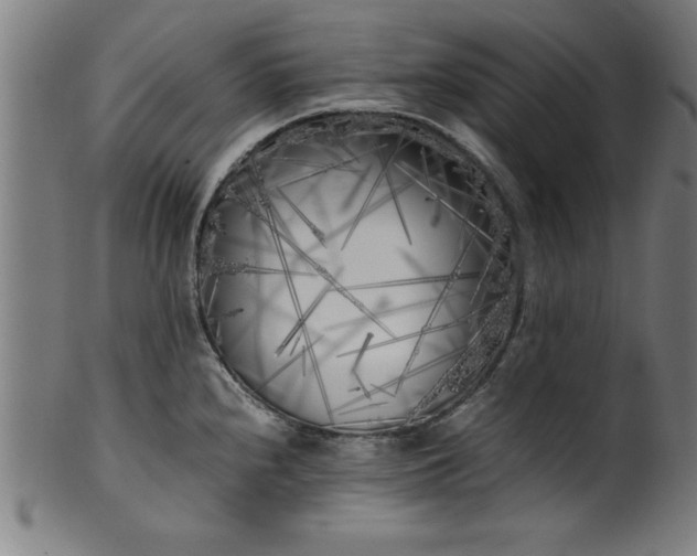 X0000099931240200806061446