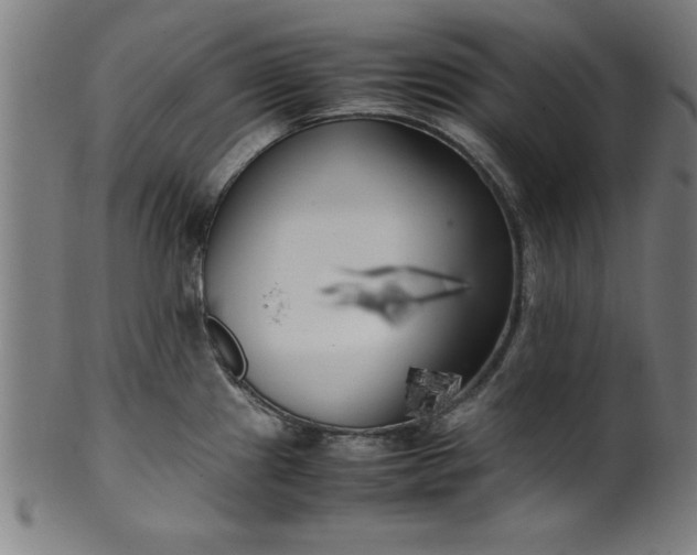 X0000099931241200806061446