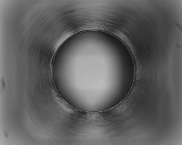 X0000099931242200806061446