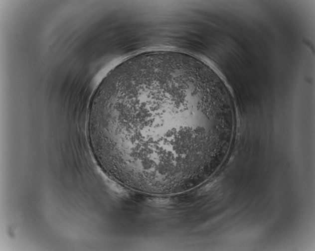 X0000099931245200806061446