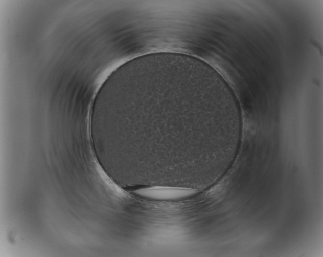 X0000099931246200806061446