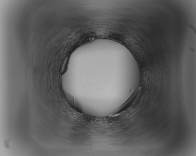 X0000099931249200806061446