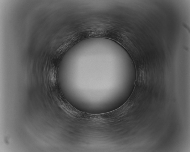 X0000099931250200806061446