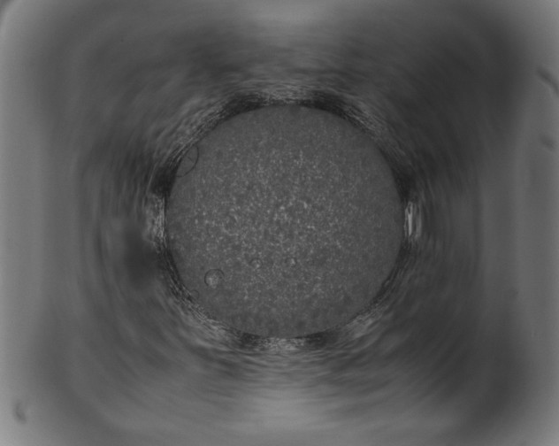 X0000099931251200806061446